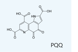 OxSyns Biotech - Products